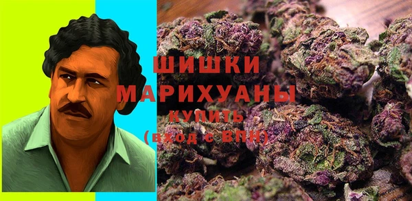 прущие грибы Ладушкин