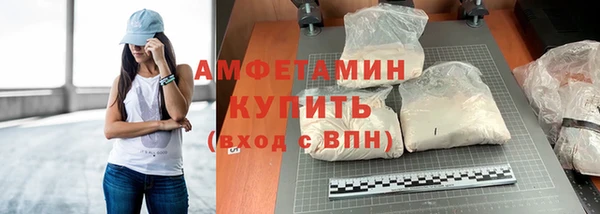 сатива Балахна