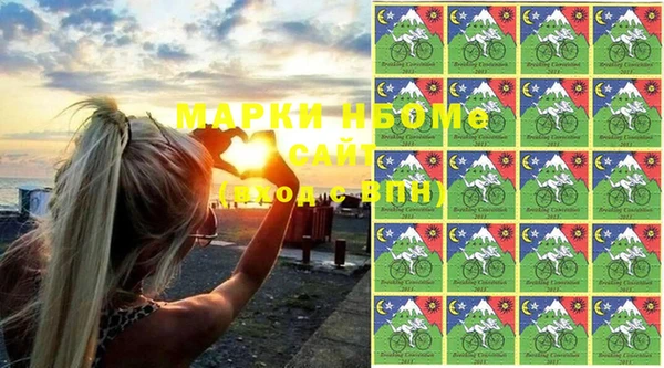 сатива Балахна