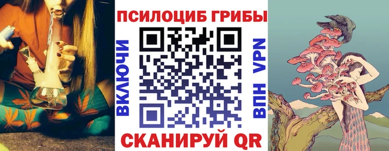 Псилоцибиновые грибы MAGIC MUSHROOMS  Бодайбо 
